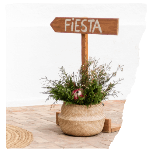 Fiesta Fiesta
